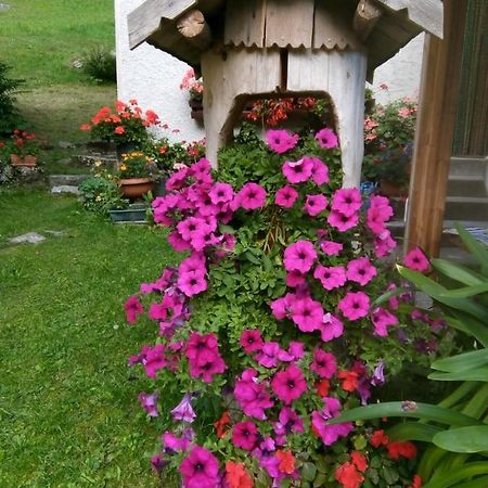 B&B Pra' Dei Cervi Telve Exteriér fotografie