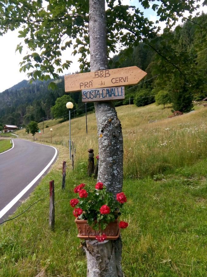 B&B Pra' Dei Cervi Telve Exteriér fotografie