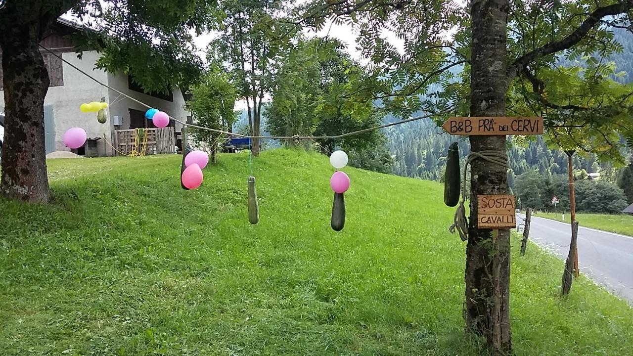 B&B Pra' Dei Cervi Telve Exteriér fotografie