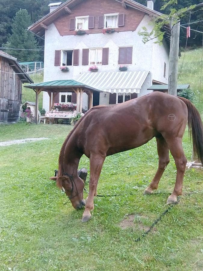 B&B Pra' Dei Cervi Telve Exteriér fotografie