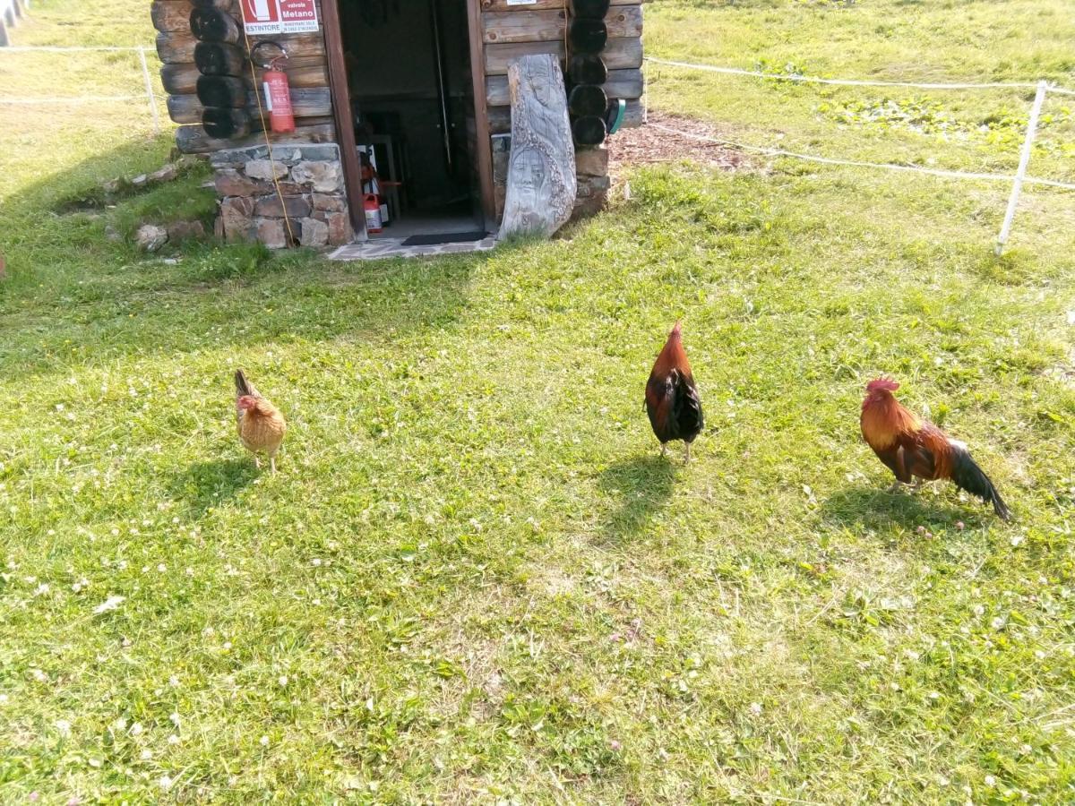 B&B Pra' Dei Cervi Telve Exteriér fotografie