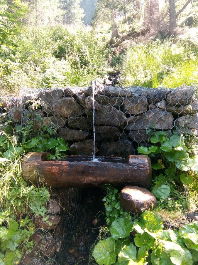 B&B Pra' Dei Cervi Telve Exteriér fotografie