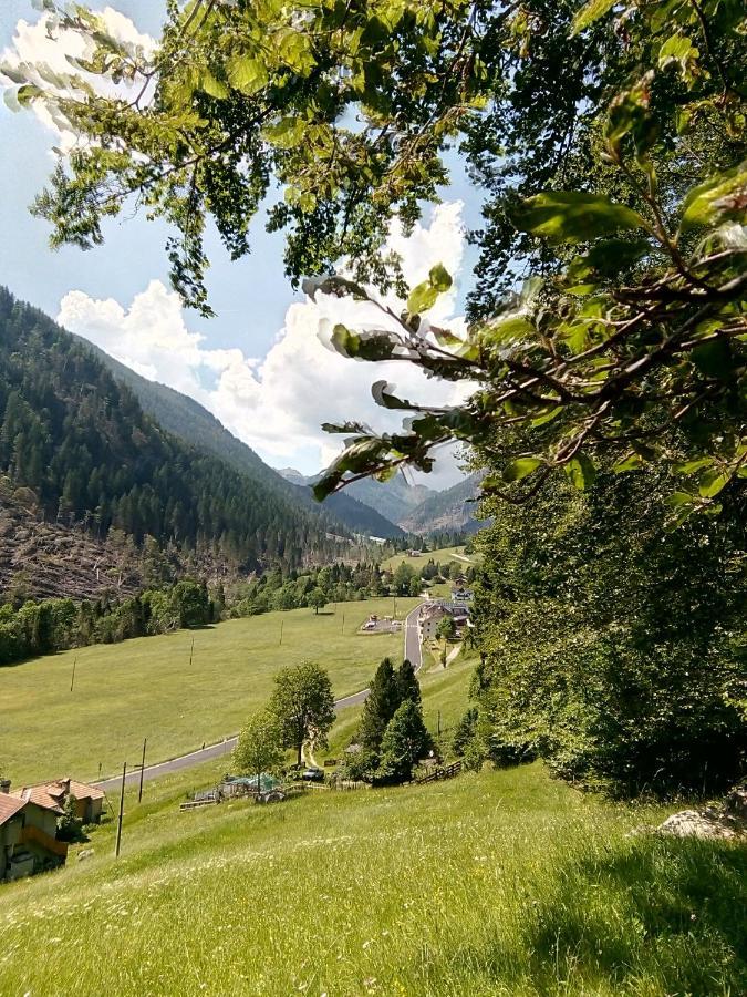 B&B Pra' Dei Cervi Telve Exteriér fotografie