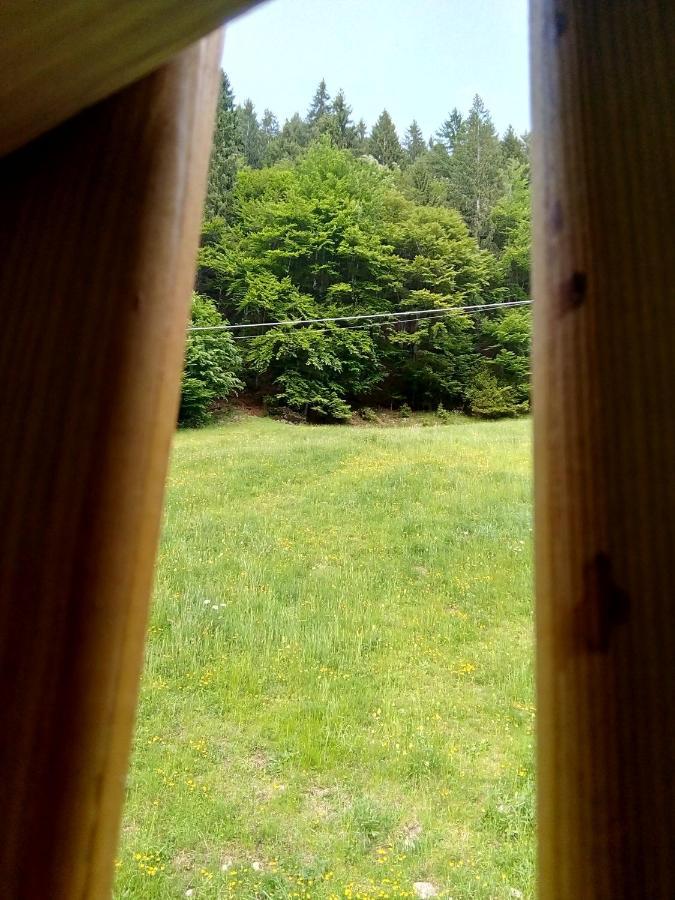 B&B Pra' Dei Cervi Telve Exteriér fotografie