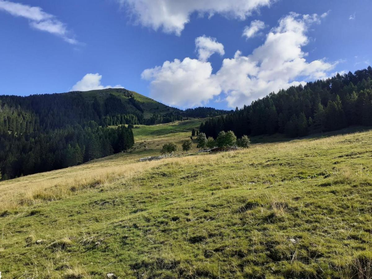 B&B Pra' Dei Cervi Telve Exteriér fotografie