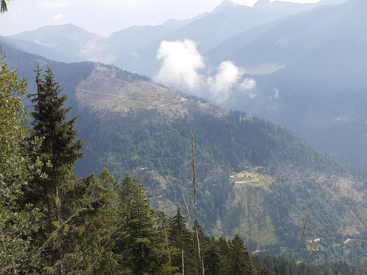 B&B Pra' Dei Cervi Telve Exteriér fotografie