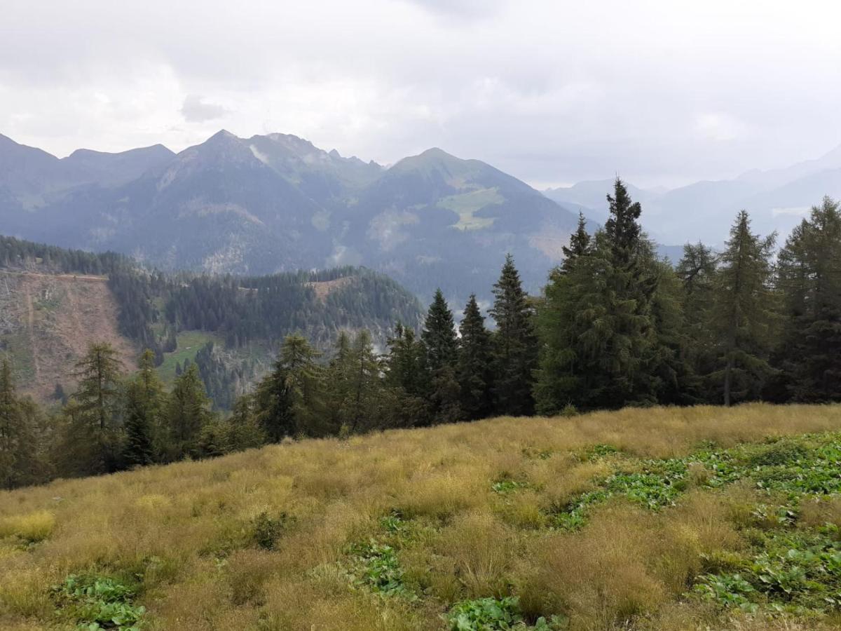 B&B Pra' Dei Cervi Telve Exteriér fotografie